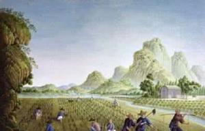 王思明：农业文明——丝绸之路上“行走”的种子