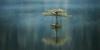不列颠哥伦比亚省温哥华岛，一阵和暖微风吹过，湖面泛起了微波，树的倒影也变得迷离不清。